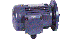 CV..S城邦立式標(biāo)準(zhǔn)ICE三相鋁殼剎車馬達(dá)